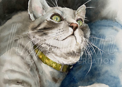 Aquarelle chat
