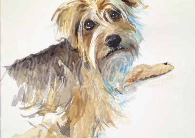 Aquarelle chien