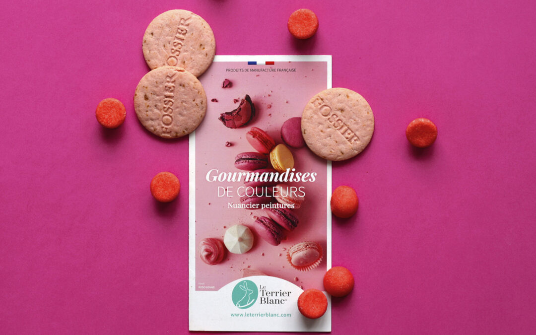 Nuancier de peinture le Terrier Blanc