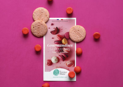 Nuancier de peinture le Terrier Blanc